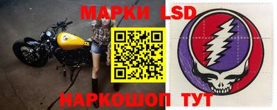 стаф Кунгур