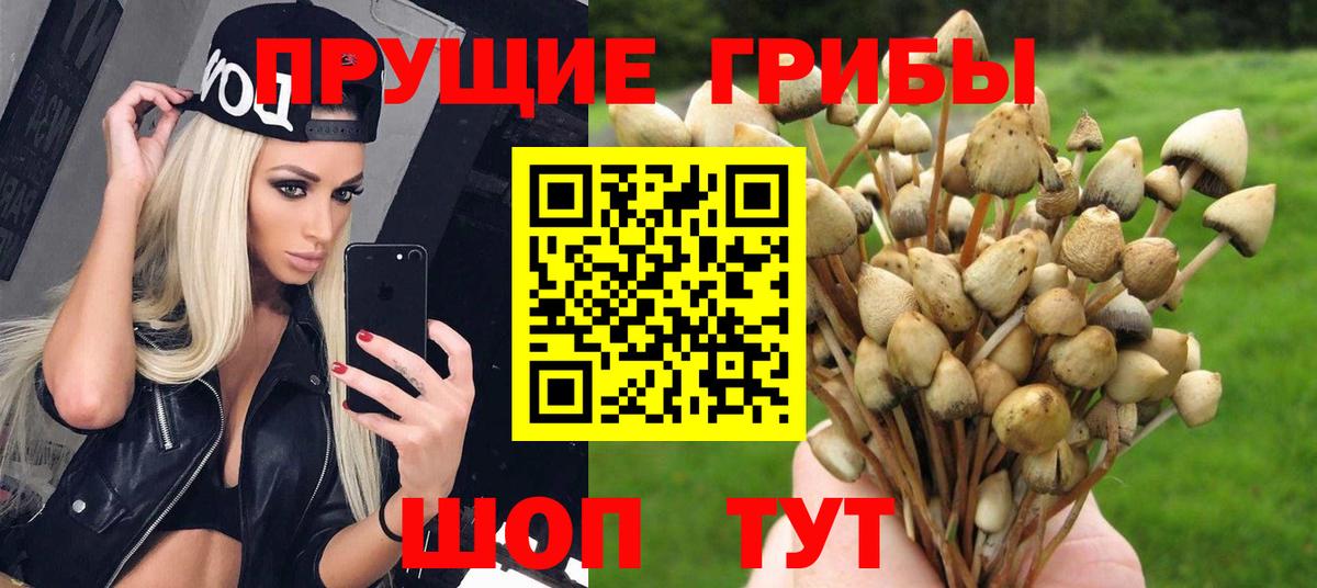 Псилоцибиновые грибы GOLDEN TEACHER  Вход с VPN  Елизово  Галлюциногенные грибы прущие грибы 